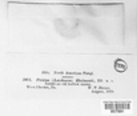 Image Associated With the Occurence